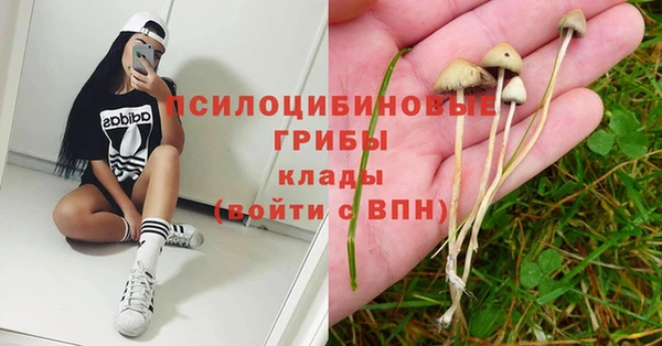трава Алексин