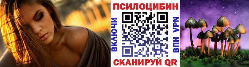 Псилоцибиновые грибы Psilocybe  магазин  наркотиков  Кремёнки 